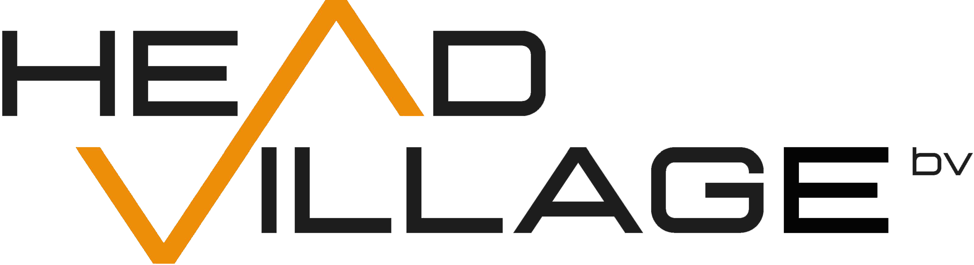 Logo HeadVillage